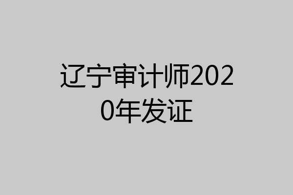辽宁审计师2020年发证
