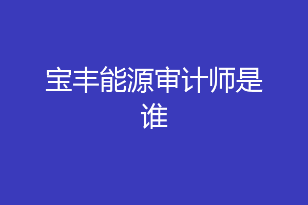 宝丰能源审计师是谁