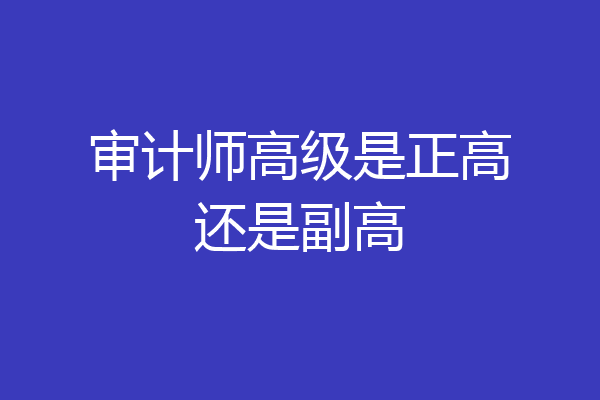 审计师高级是正高还是副高
