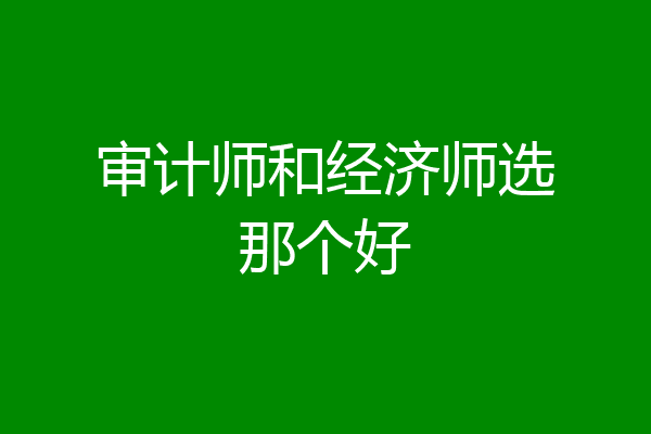 审计师和经济师选那个好