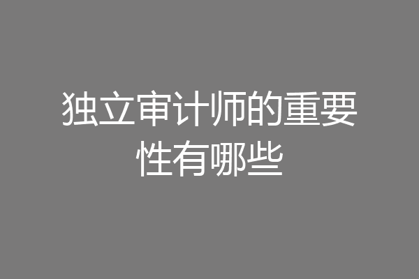 独立审计师的重要性有哪些