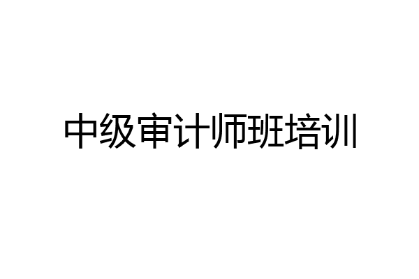 中级审计师班培训
