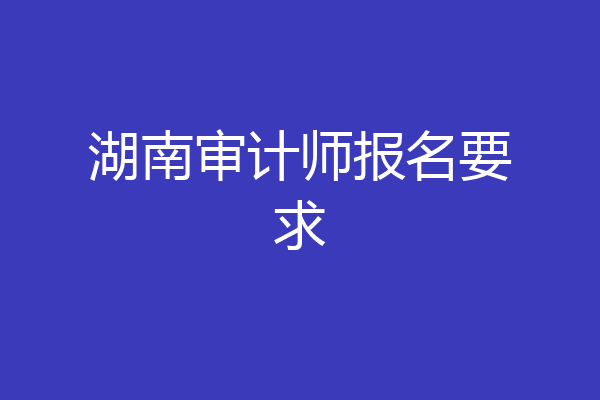 湖南审计师报名要求