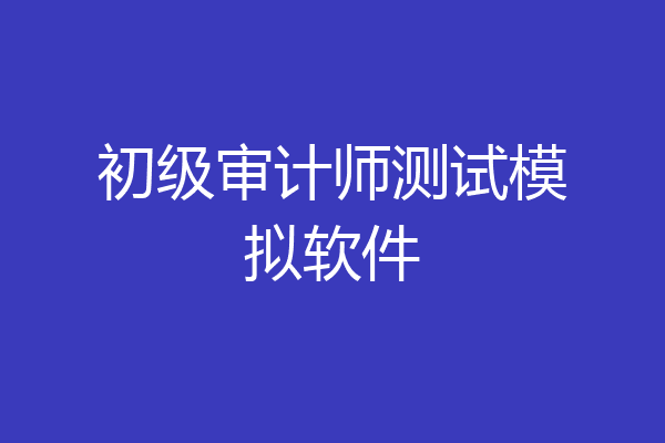 初级审计师测试模拟软件