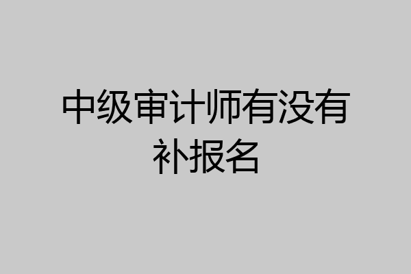 中级审计师有没有补报名