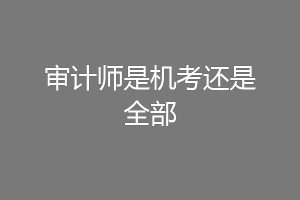 审计师是机考还是全部
