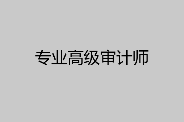 专业高级审计师
