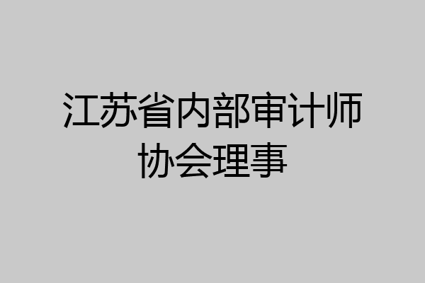 江苏省内部审计师协会理事