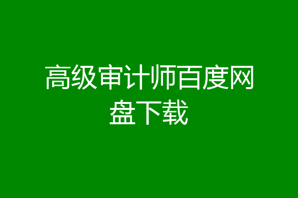 高级审计师百度网盘下载