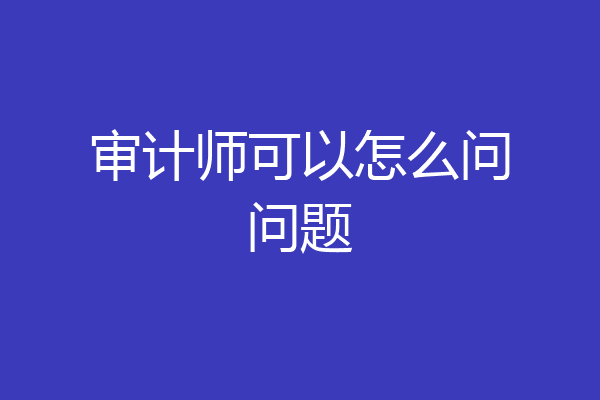 审计师可以怎么问问题