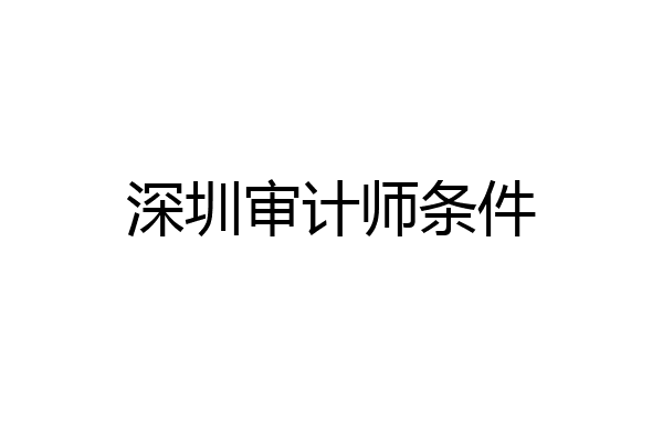 深圳审计师条件