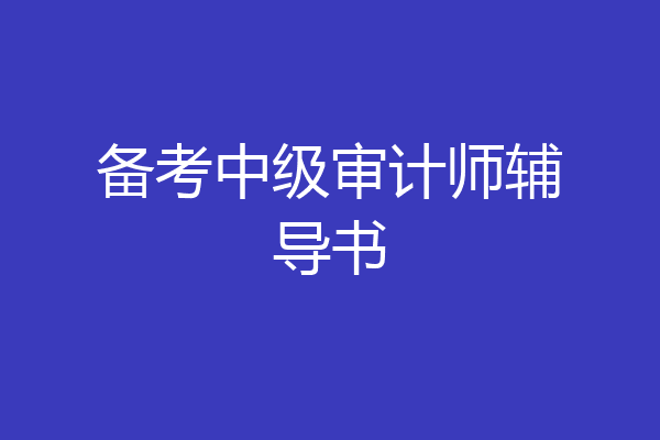 备考中级审计师辅导书