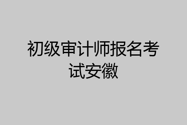 初级审计师报名考试安徽