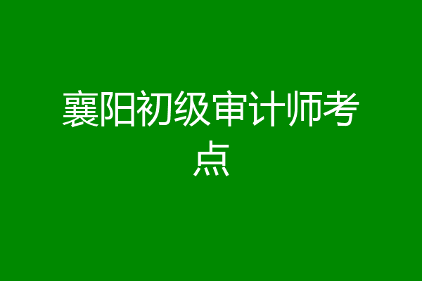 襄阳初级审计师考点