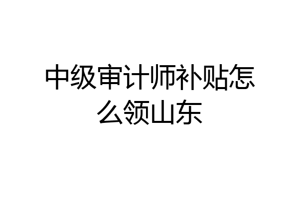 中级审计师补贴怎么领山东