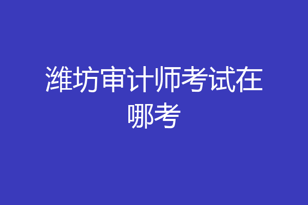 潍坊审计师考试在哪考
