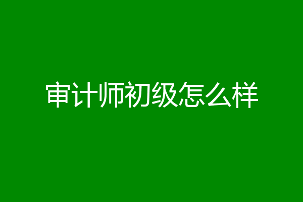 审计师初级怎么样