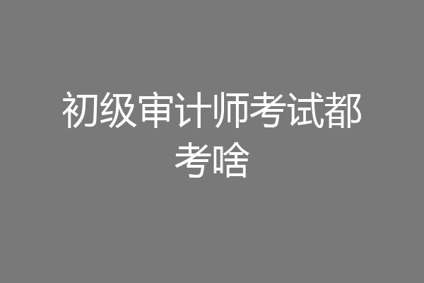 初级审计师考试都考啥