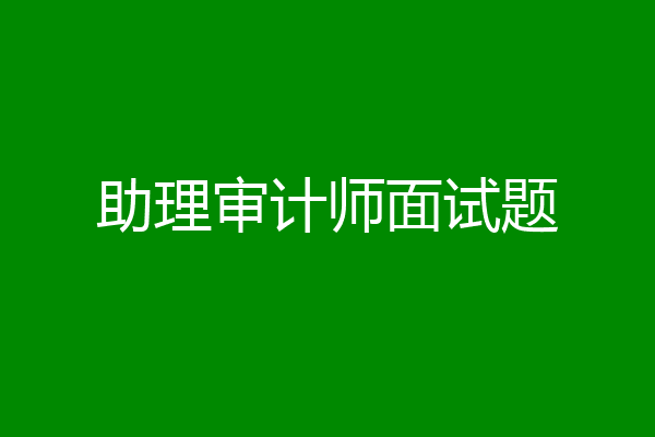 助理审计师面试题