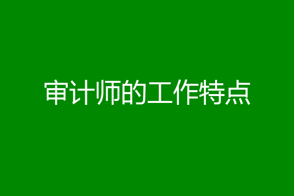 审计师的工作特点