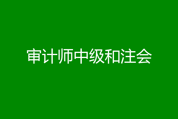 审计师中级和注会