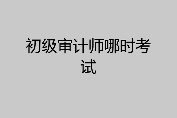 初级审计师哪时考试