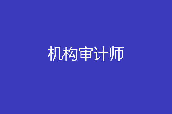 机构审计师