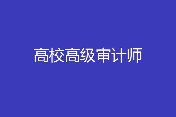 高校高级审计师
