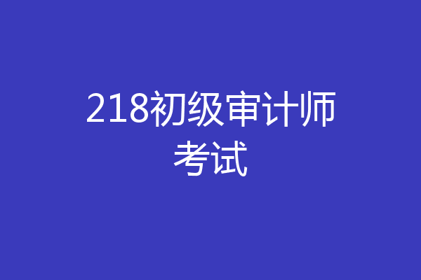 218初级审计师考试