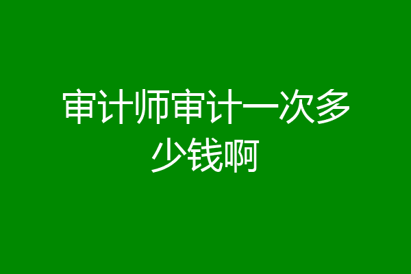 审计师审计一次多少钱啊