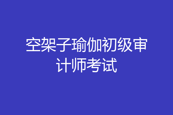 空架子瑜伽初级审计师考试
