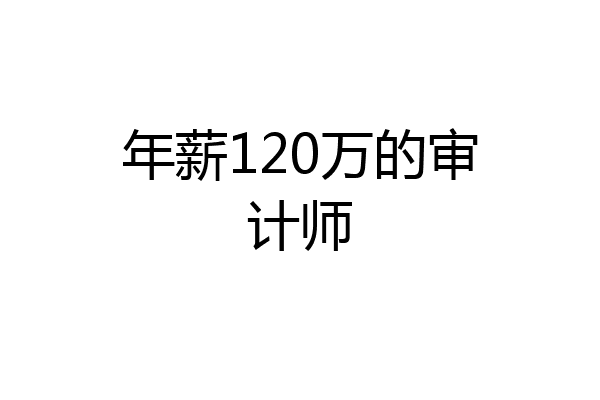 年薪120万的审计师