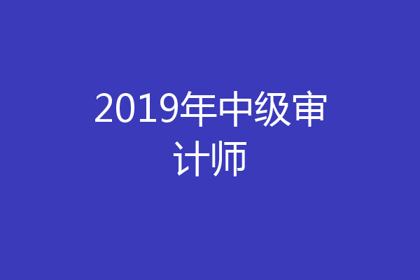 2019年中级审计师