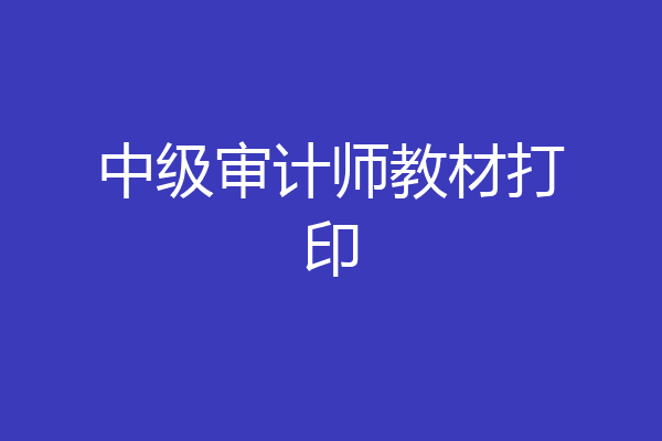 中级审计师教材打印