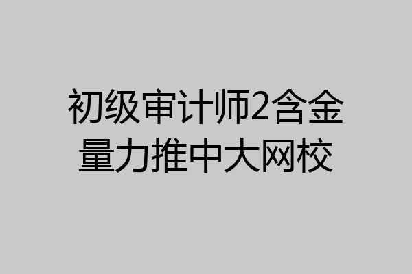初级审计师2含金量力推中大网校