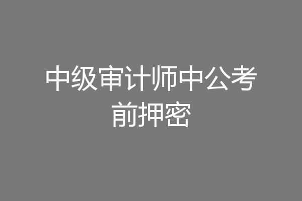 中级审计师中公考前押密