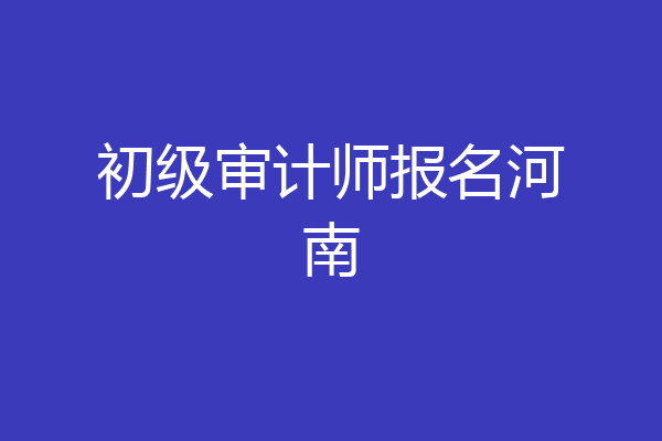 初级审计师报名河南