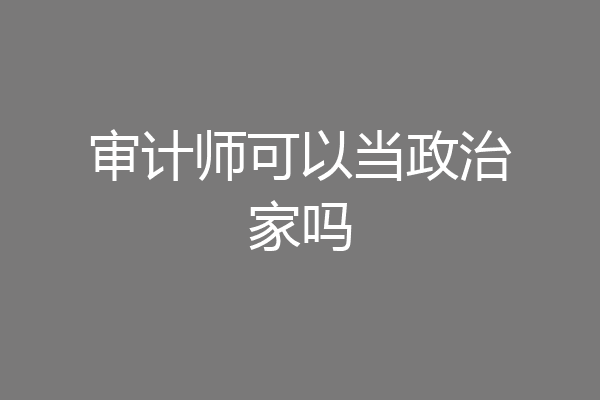 审计师可以当政治家吗