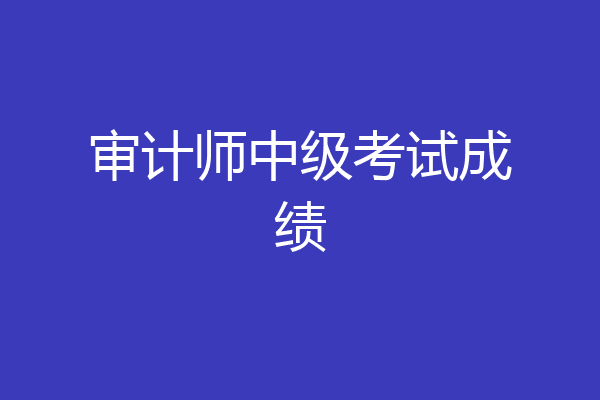 审计师中级考试成绩