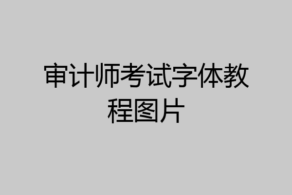 审计师考试字体教程图片
