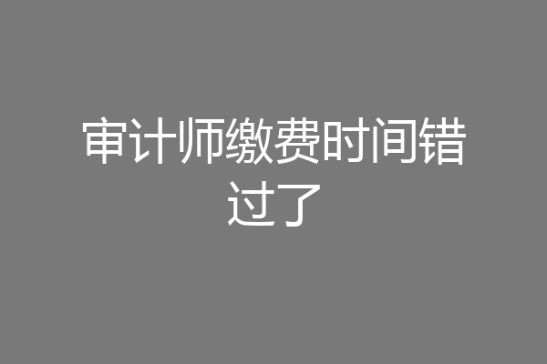 审计师缴费时间错过了