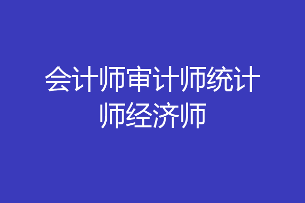 会计师审计师统计师经济师
