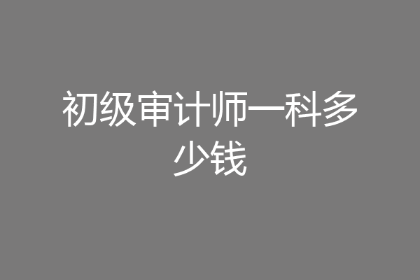 初级审计师一科多少钱