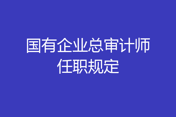 国有企业总审计师任职规定