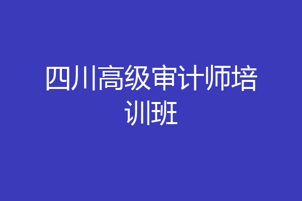 四川高级审计师培训班