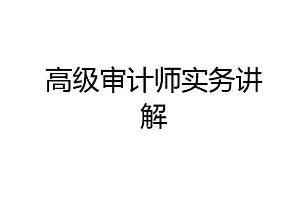 高级审计师实务讲解