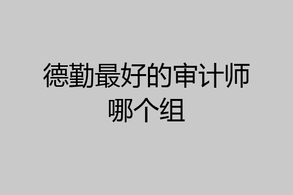 德勤最好的审计师哪个组