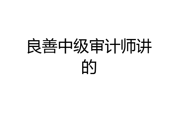良善中级审计师讲的
