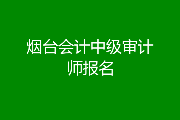烟台会计中级审计师报名