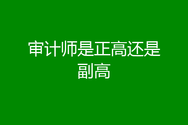 审计师是正高还是副高